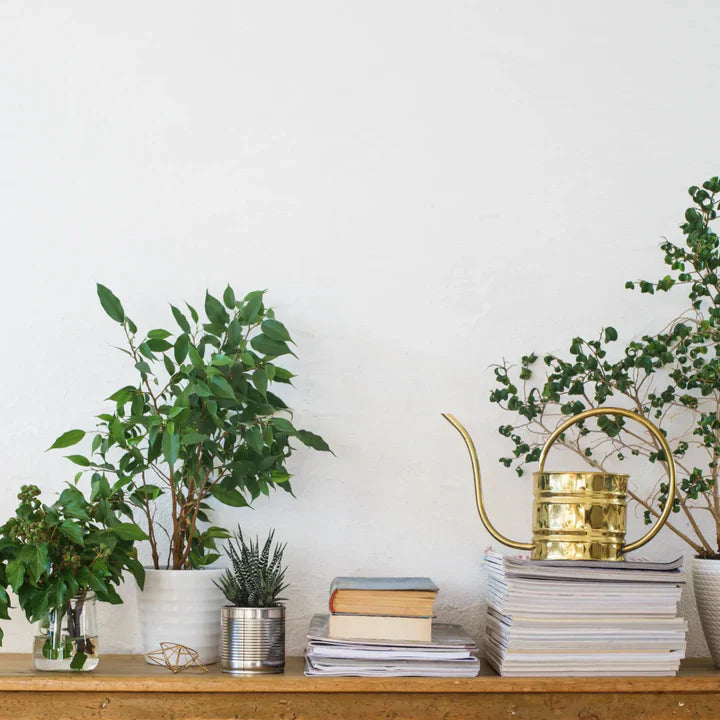rectangular planter box indoor H Potter Rectangular Tabletop Planter | Wave Design