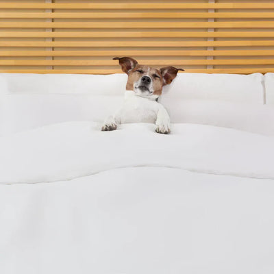 10 Tips To Get Better Sleep At Night