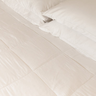 Warehouse Sale <br/> Organic Bamboo Sateen Comforter